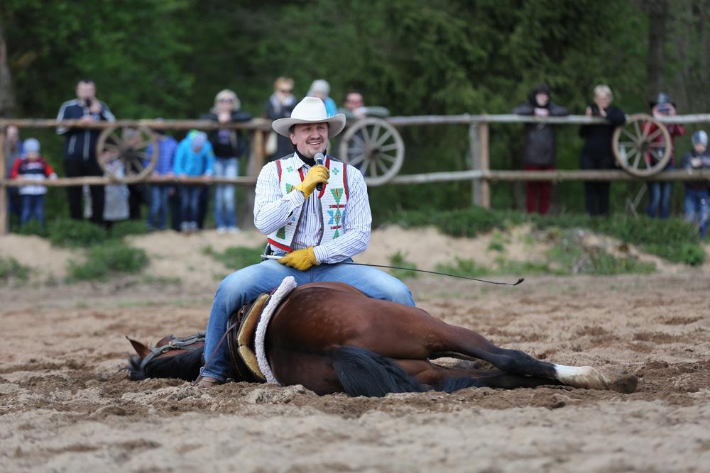 Rodeo 2016 2