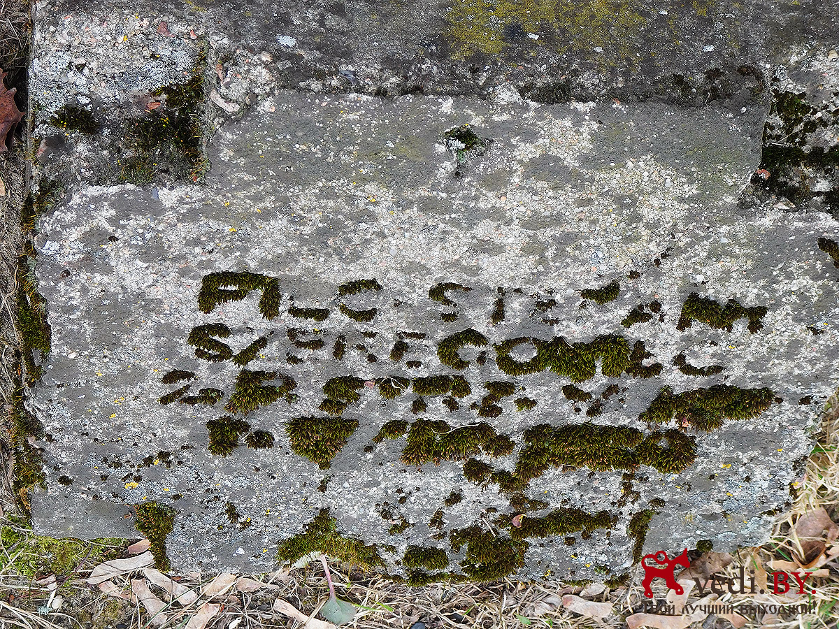 kobrin tserkov 19