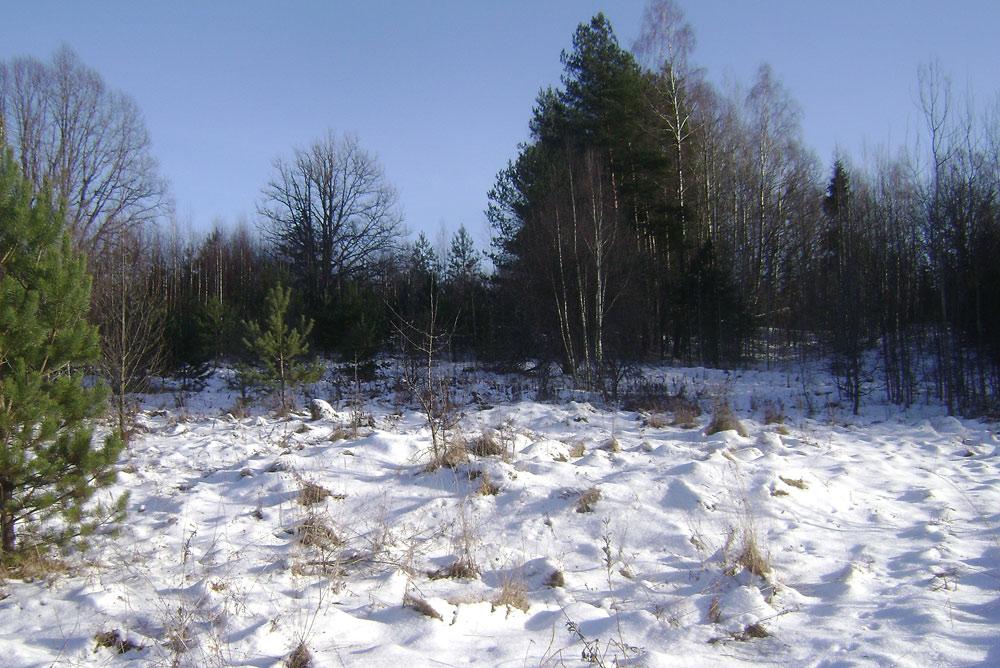 55