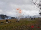 Березина-2016_17