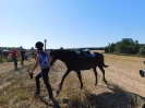 Конный пробег 22.08.15_21